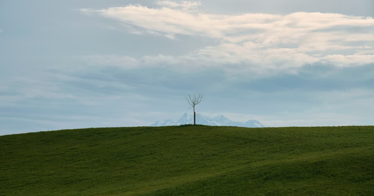 Enapter Expands U.S. Presence Through Core Partnership with Total Hydrogen Solutions