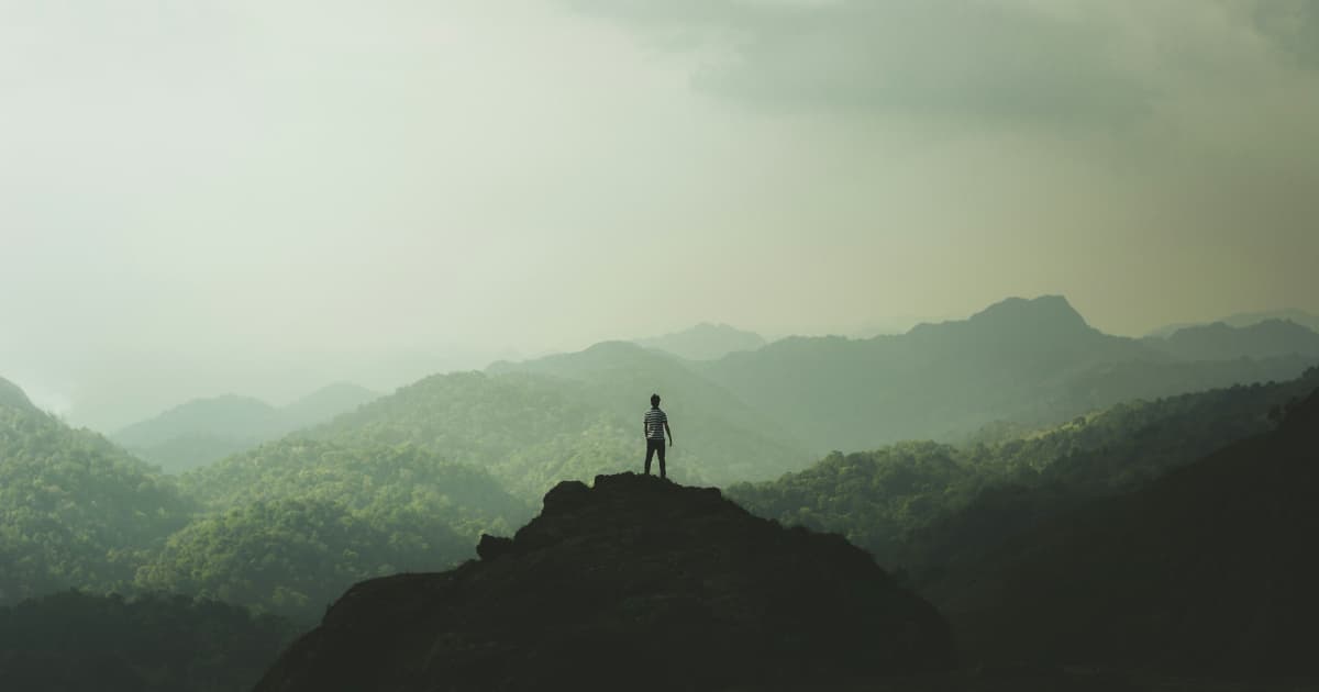 BioStem Technologies Appoints SEC-Qualified Financial Expert Jodi Ungrodt to Board as Audit Committee Chair