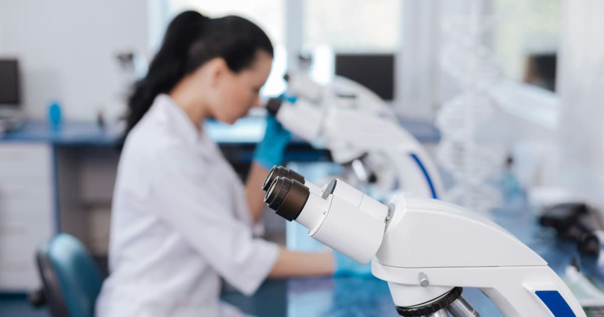 Fitzroy Minerals Reports Significant Copper Intervals at Chilean Project, Advances Toward Resource Estimate