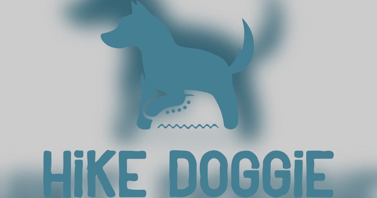 Denver Dog's 5-Star Yelp Review Goes Viral, Highlighting Hike Doggie's Unique Service